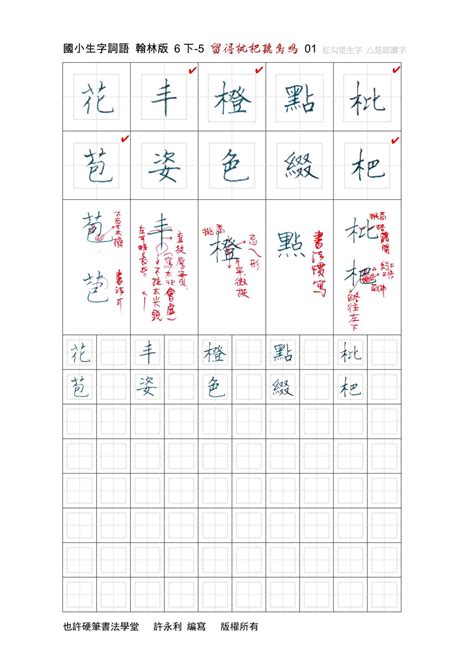 留得枇杷聽鳥鳴|翰林六下第五課 留得枇杷聽鳥鳴單詞卡 